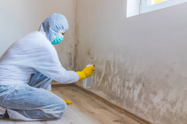 Licensed Crawl Space Mold Removal service in Weems, VA - WQB Mold Removal