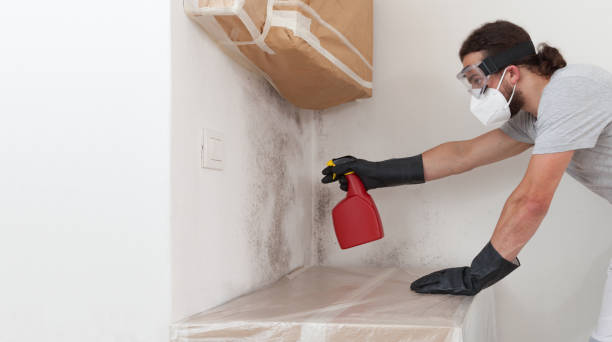Professional Crawl Space Mold Removal technician working in Weems, VA