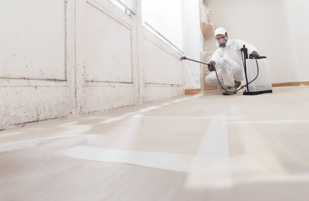 24/7 Emergency Crawl Space Mold Removal experts in Weems, VA