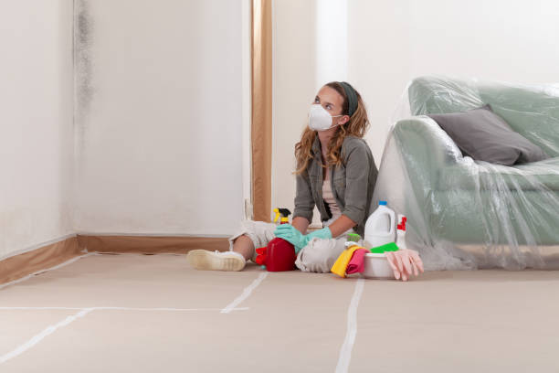Reliable Crawl Space Mold Removal contractor in Weems, VA by WQB Mold Removal