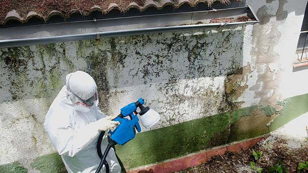 Top rated local Crawl Space Mold Removal specialists in Weems, VA